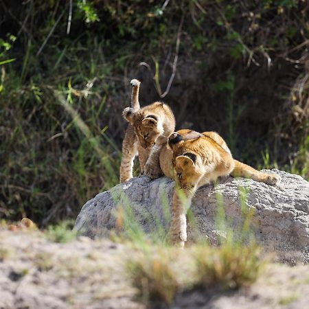 Mara Elatia Camp Villa Maasai Mara Buitenkant foto