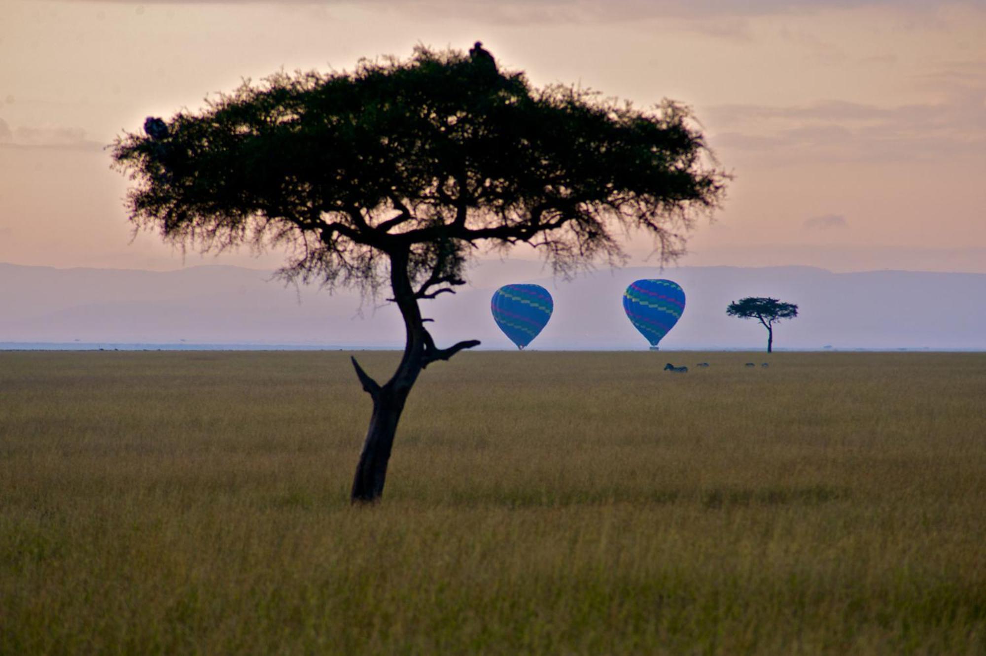 Mara Elatia Camp Villa Maasai Mara Buitenkant foto