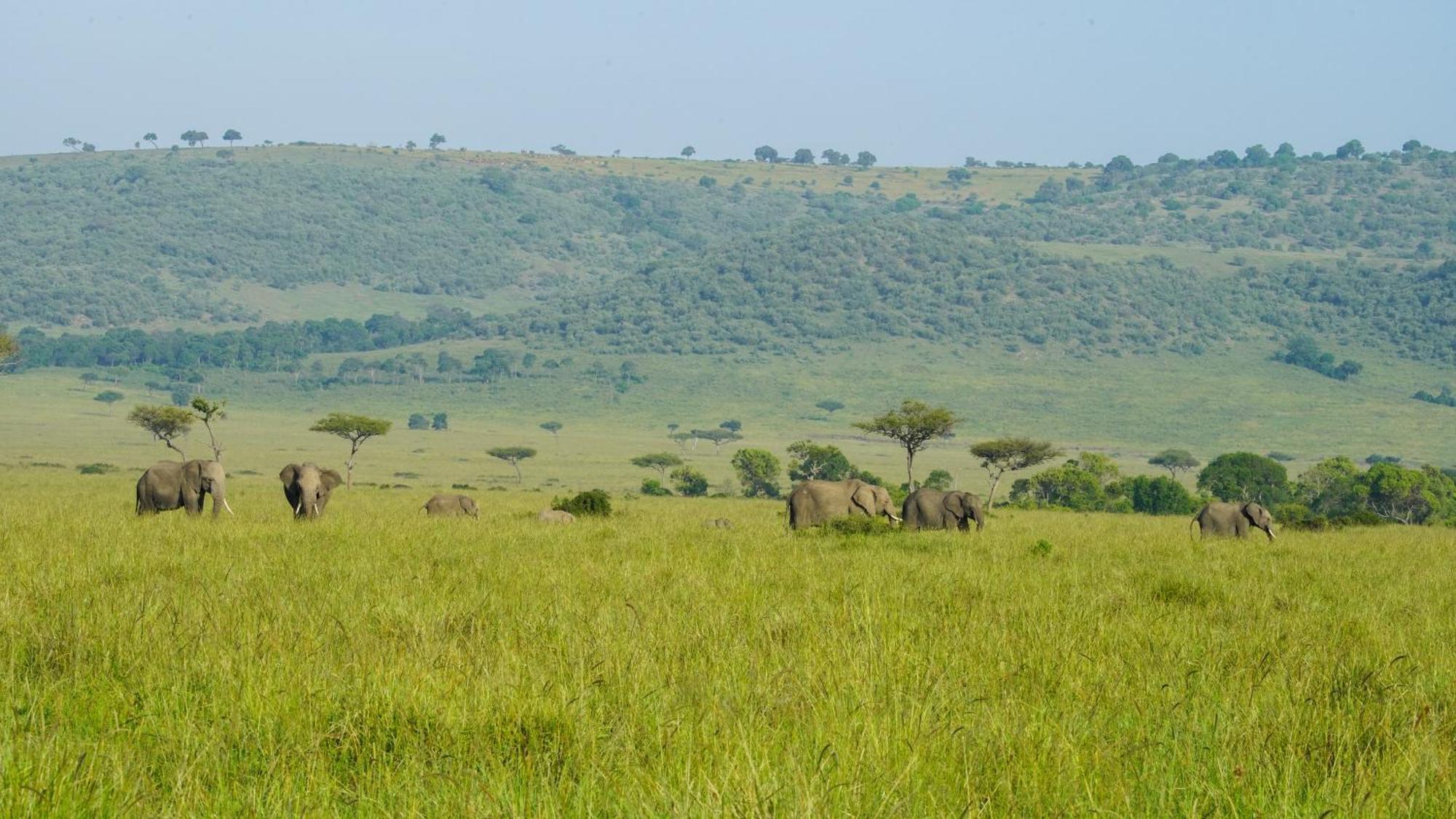Mara Elatia Camp Villa Maasai Mara Buitenkant foto
